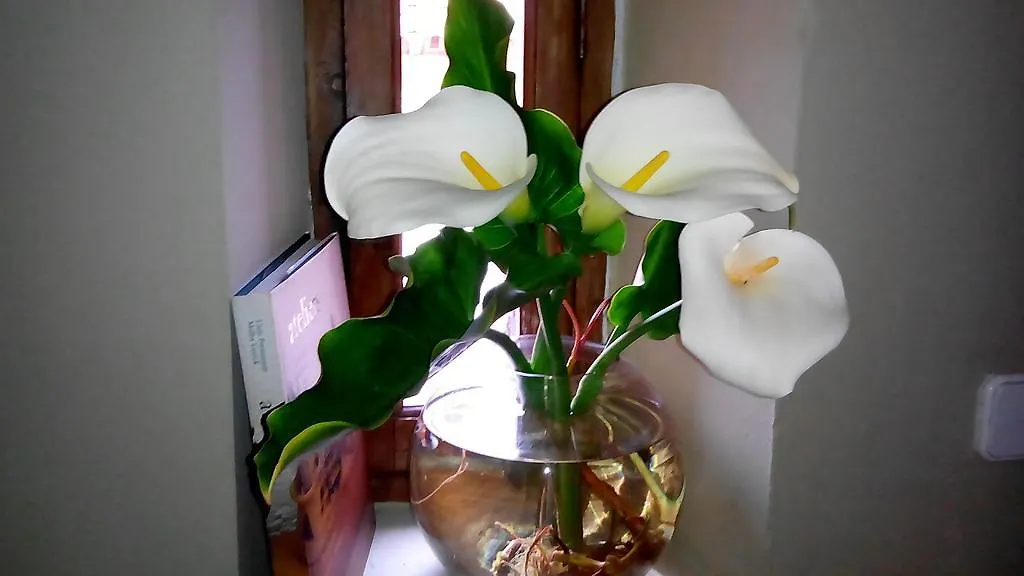 Guest house La Casa De Blas Hotel Seville Spain